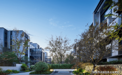 而且还有庭院引入