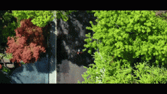 <strong>许诺因拆修而形成</strong>