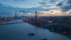 <strong>杨浦滨江有国度高</strong>